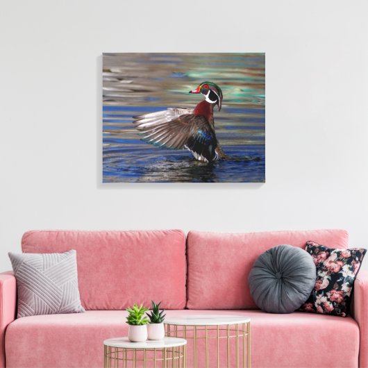 20x16 Wing Flapping Wood Duck Canvas Afdruk (Insitu (Woonkamer))
