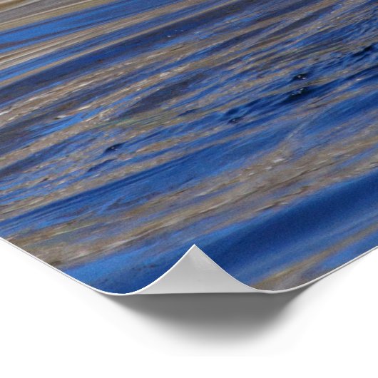 20x16 Wing Flapping Wood Duck Poster (Hoek)