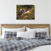20x16 Young Alligator Canvas Afdruk (Insitu (Slaapkamer))