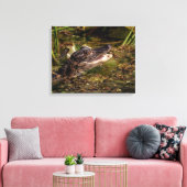 20x16 Young Alligator Canvas Afdruk (Insitu (Woonkamer))