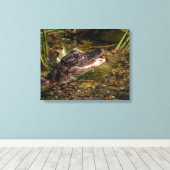20x16 Young Alligator Canvas Afdruk (Insitu (Houten vloer))
