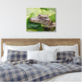 20x16 Young Alligator Canvas Afdruk (Insitu (Slaapkamer))