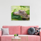 20x16 Young Alligator Canvas Afdruk (Insitu (Woonkamer))