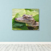 20x16 Young Alligator Canvas Afdruk (Insitu (Houten vloer))