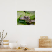 20x16 Young Alligator Poster (Keuken)