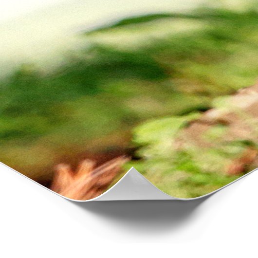 20x16 Young Groundhog Poster (Hoek)