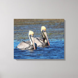 20x16Paar van Pelicans Canvas Afdruk