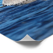 20x16Paar van Pelicans Poster (Hoek)