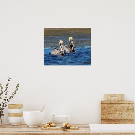 20x16Paar van Pelicans Poster (Keuken)