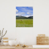 20x24 Poster papier (steen) van grizzly-beren (Keuken)