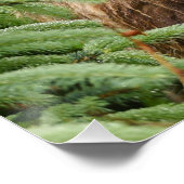 20x25 Poster (glanzende afwerking) van grizzly bee (Hoek)