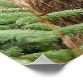 20x28 Poster (Matte) met grizzly beer (Hoek)