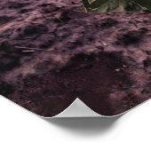 20x30 Wand Poster (Hoek)