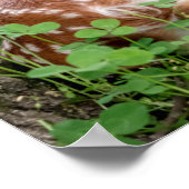 20x6 Schattige baasleg onder een boom Poster (Hoek)