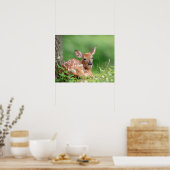 20x6 Schattige baasleg onder een boom Poster (Keuken)