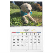 20xx hondenkalender kalender (Mar 2027)