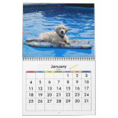 20xx hondenkalender kalender (Jan 2026)