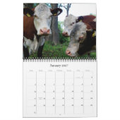 20XX Maandelijkse Koe Muur Kalender Rundvee Koeien (Jan 2027)