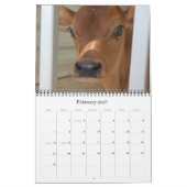 20XX Maandelijkse Koe Muur Kalender Rundvee Koeien (Feb 2027)