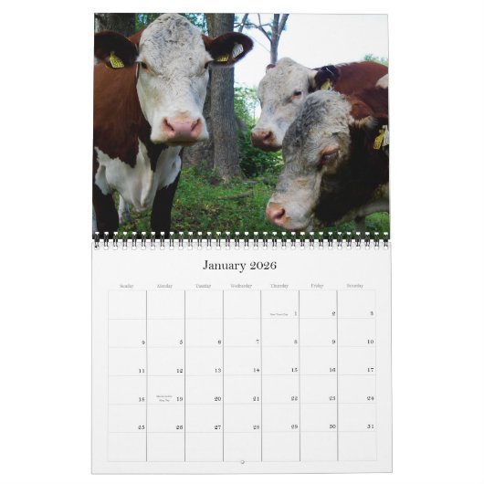 20XX Maandelijkse Koe Muur Kalender Rundvee Koeien (Jan 2026)