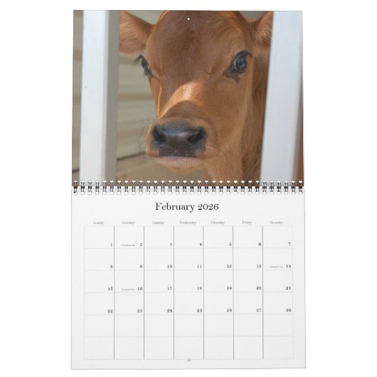 20XX Maandelijkse Koe Muur Kalender Rundvee Koeien (Feb 2026)