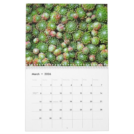 20XX Succulenten Liefhebbers Tuin Gepersonaliseerd Kalender (Mar 2026)