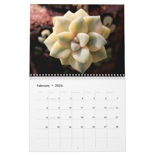 20XX Succulenten Liefhebbers Tuin Gepersonaliseerd Kalender (Feb 2026)