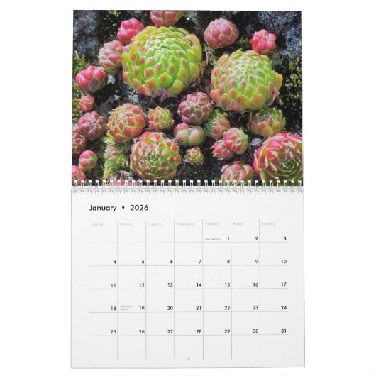 20XX Succulenten Liefhebbers Tuin Gepersonaliseerd Kalender (Jan 2026)