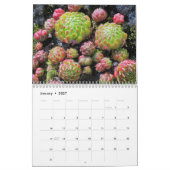 20XX Succulenten Liefhebbers Tuin Gepersonaliseerd Kalender (Jan 2027)