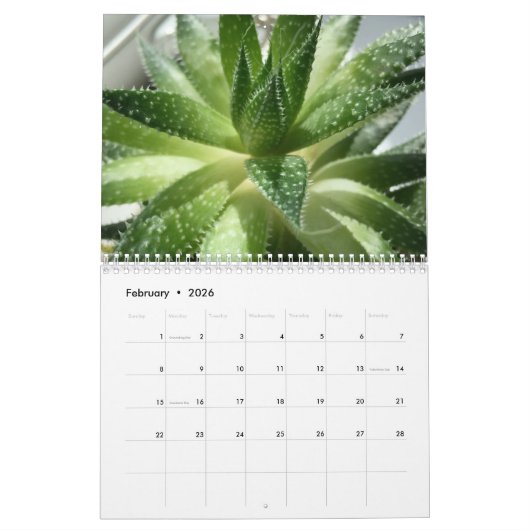 20XX vetplanten Cactus liefhebbers gepersonaliseer Kalender (Feb 2026)