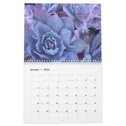 20XX vetplanten Cactus liefhebbers gepersonaliseer Kalender (Jan 2026)