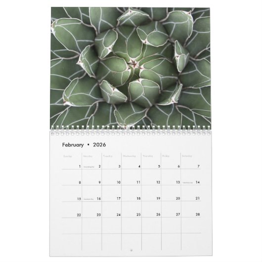 20XX vetplanten Cactus liefhebbers gepersonaliseer Kalender (Feb 2026)