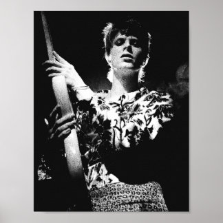 20yDBowie Ziggy Stardust op Gitaar Poster Tribute