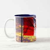 211435558_1ddb32a17c_o tweekleurige koffiemok (Links)