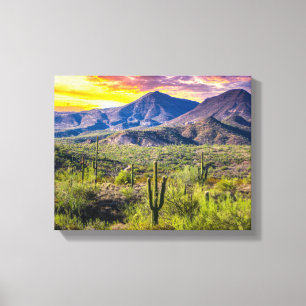 2124-2-Arizona Woestijn bij zonsondergang Canvas Afdruk
