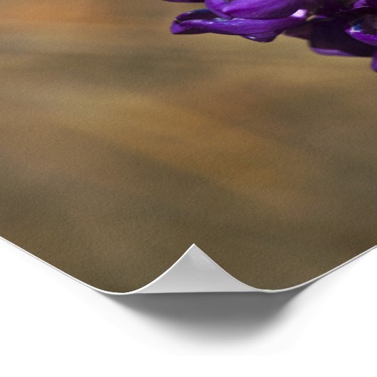 21:4 Witte letters Poster (Hoek)