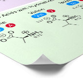 21 aminozuren in de biologie met structuur poster (Hoek)