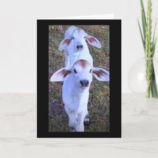 "21 IS IETS OM OVER TE KLAGEN" KAART (Voorkant)