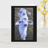 "21 IS IETS OM OVER TE KLAGEN" KAART (Gele Bloem)