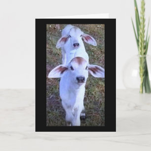 "21 IS IETS OM OVER TE KLAGEN" KAART