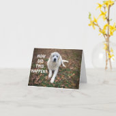 *21* NU KUN JE "JE EIGEN ID" GEBRUIKEN KAART (Gele Bloem)