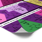 21 proteïnogene aminozuren in de biologische struc poster (Hoek)