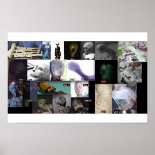 21 soorten echte buitenaardse wezens poster