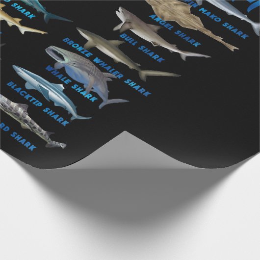 21 soorten haaiensoorten cadeaupapier (Hoek)