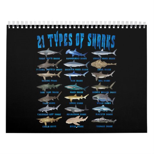 21 soorten haaiensoorten kalender (Hoes)