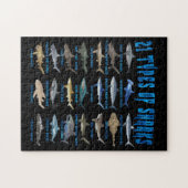 21 soorten haaiensoorten legpuzzel (Horizontaal)