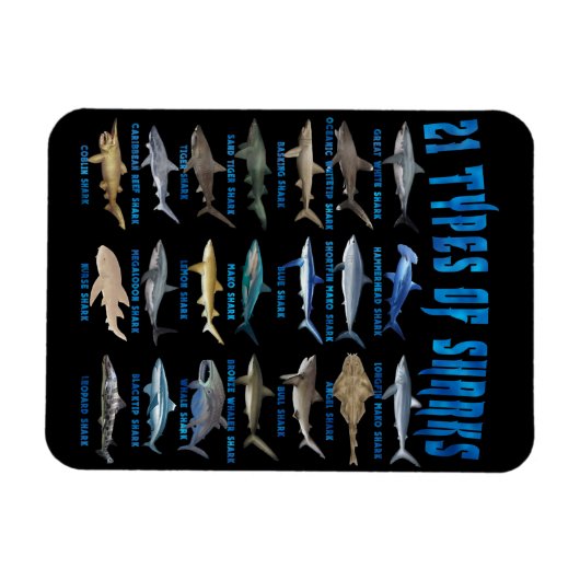 21 soorten haaiensoorten magneet (Horizontaal)