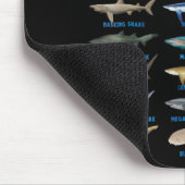 21 soorten haaiensoorten muismat (Hoek)