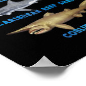 21 soorten haaiensoorten poster (Hoek)