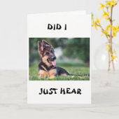 *21e BIRTHDAY* DOG HEEFT ER ALLES OVER GEHOORD Kaart (Gele Bloem)